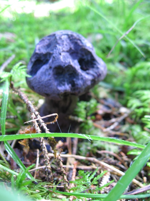 una passeggiata in Val d''Ega